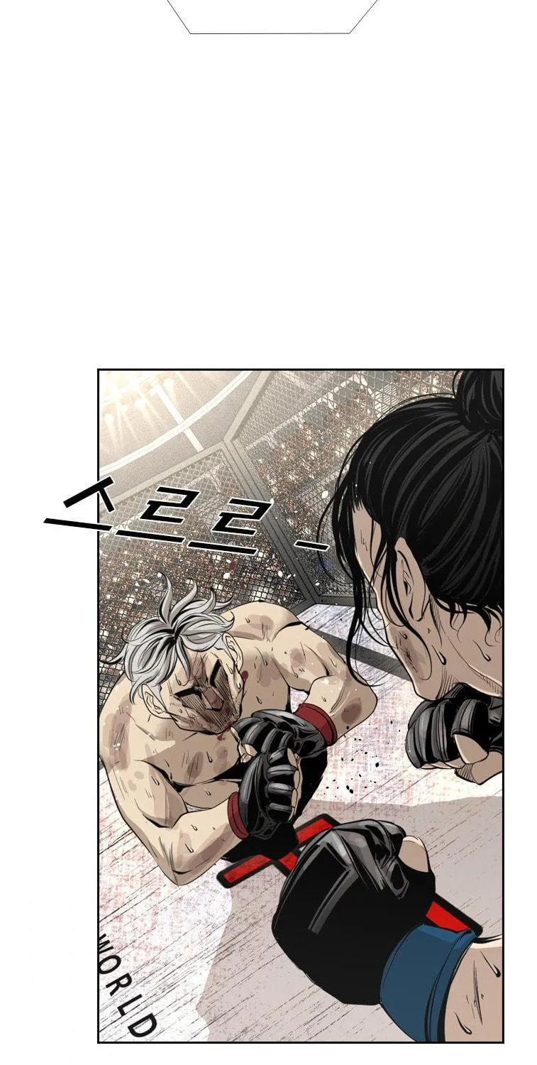 Read Shark chapter 155 image 97 on Lezhin