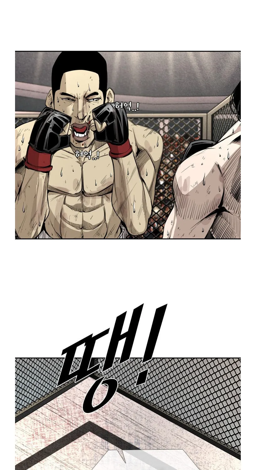 Read Shark chapter 157 image 11 on Lezhin