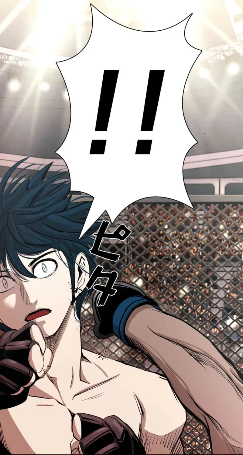 Read Shark chapter 161 image 2 on Lezhin