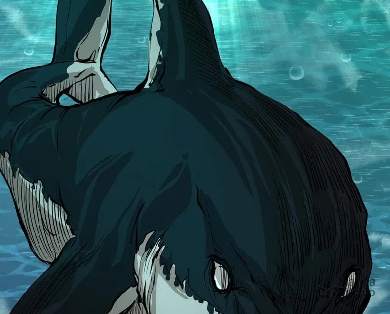 Read Shark chapter 163 image 78 on Lezhin