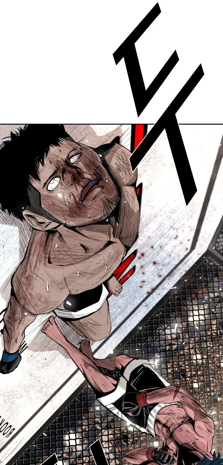 Read Shark chapter 164 image 11 on Lezhin
