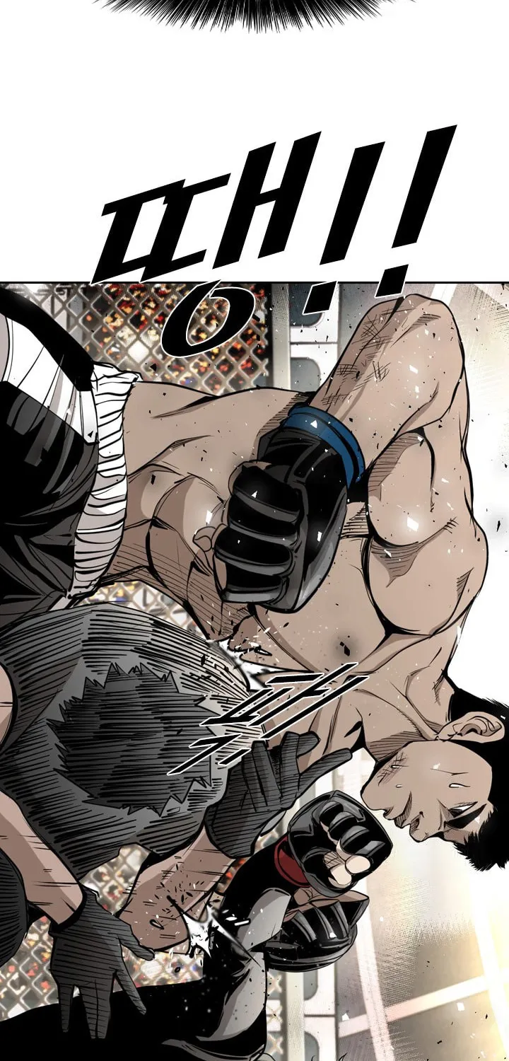 Read Shark chapter 169 image 24 on Lezhin