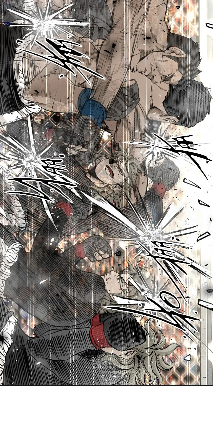 Read Shark chapter 171 image 25 on Lezhin