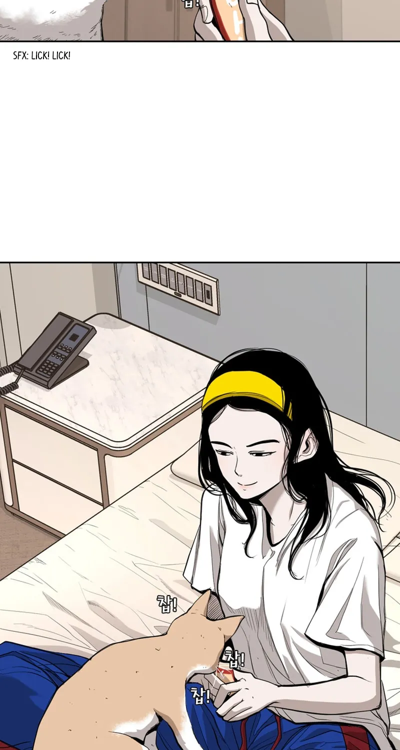 Read Shark chapter 180 image 54 on Lezhin