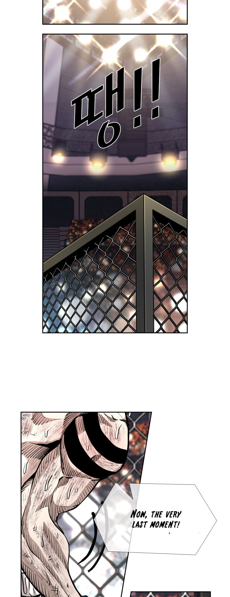 Read Shark chapter 212 image 15 on Lezhin