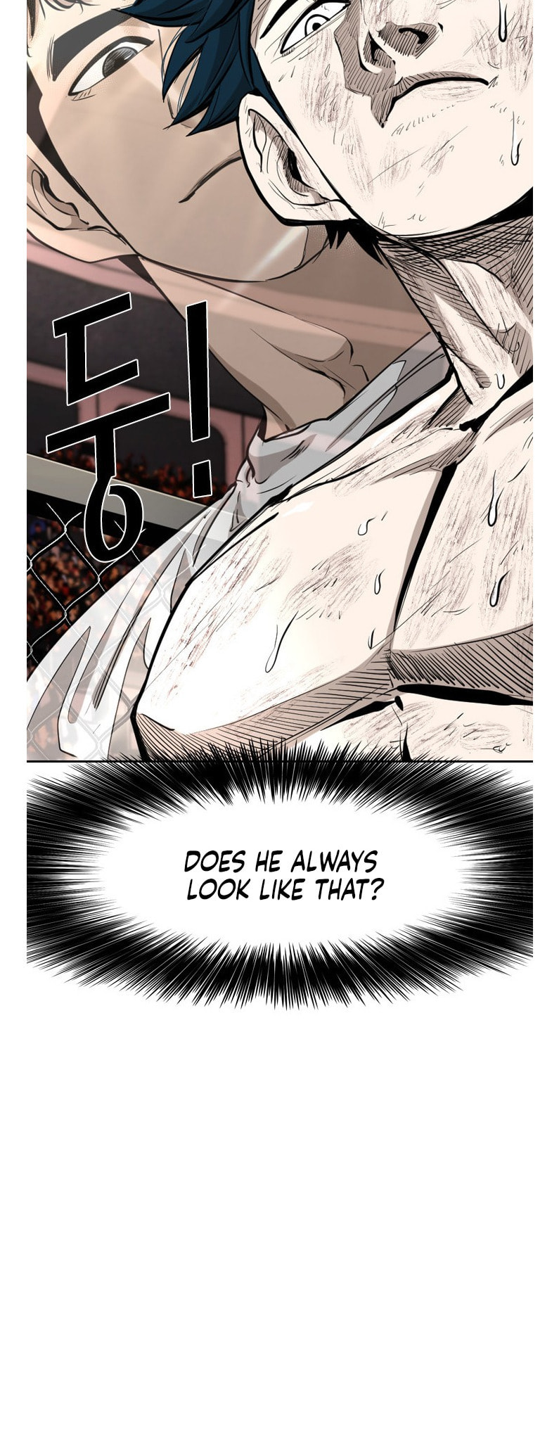 Read Shark chapter 217 image 3 on Lezhin