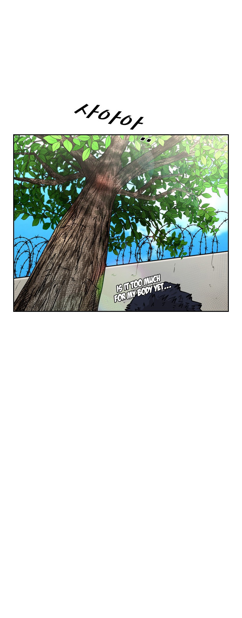 Read Shark chapter 221 image 34 on Lezhin
