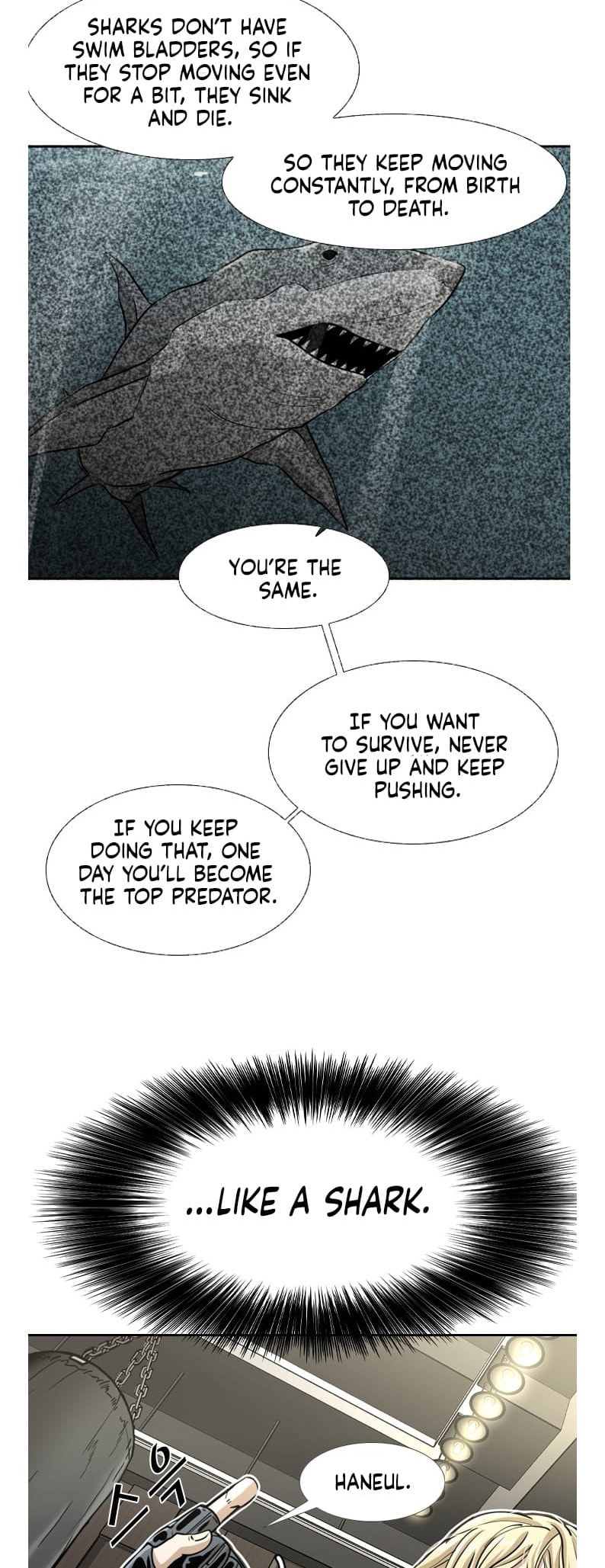 Read Shark chapter 239 image 34 on Lezhin