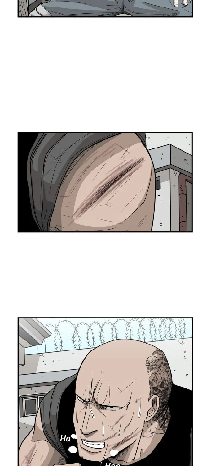 Read Shark chapter 24 image 1 on Lezhin