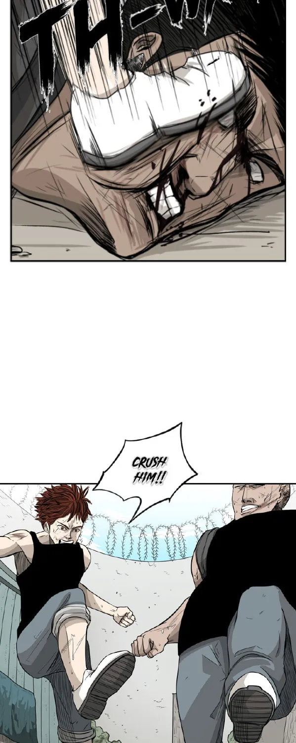 Read Shark chapter 24 image 13 on Lezhin