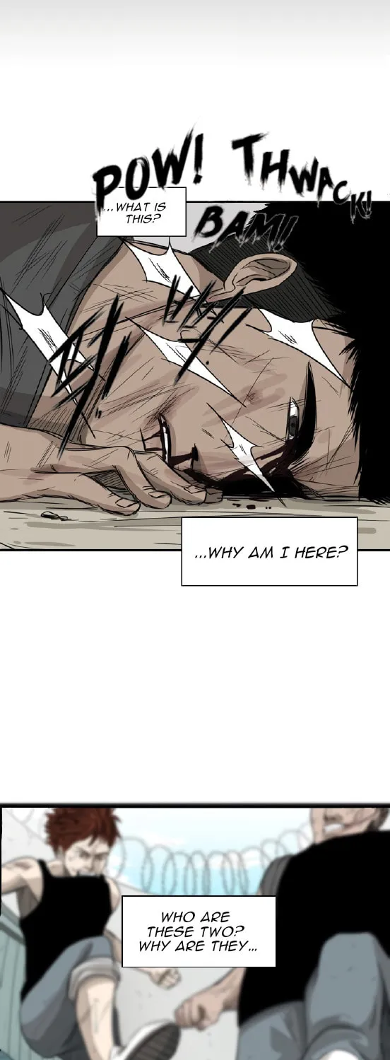 Read Shark chapter 24 image 66 on Lezhin