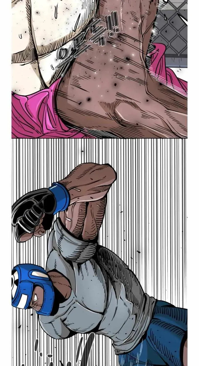 Read Shark chapter 255 image 14 on Lezhin