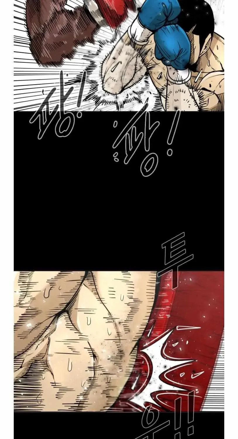 Read Shark chapter 257 image 31 on Lezhin