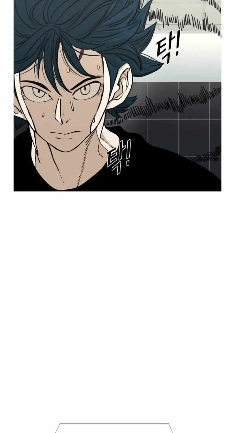 Read Shark chapter 260 image 33 on Lezhin
