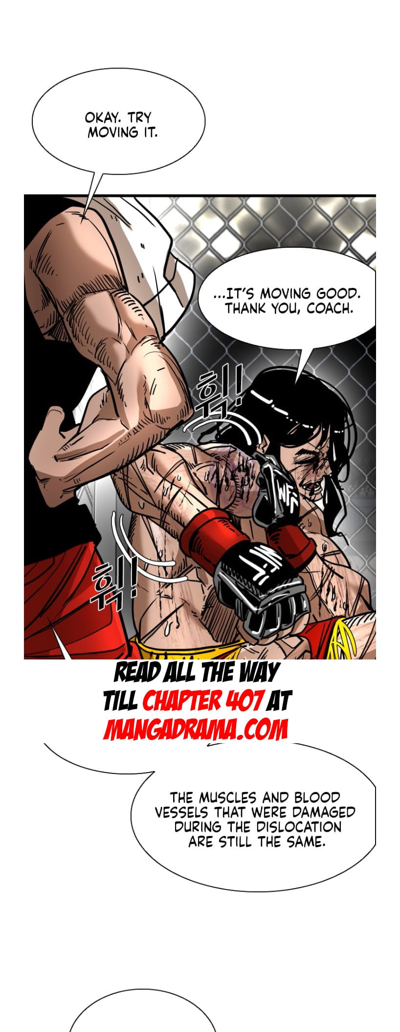 Read Shark chapter 290.1 image 48 on Lezhin