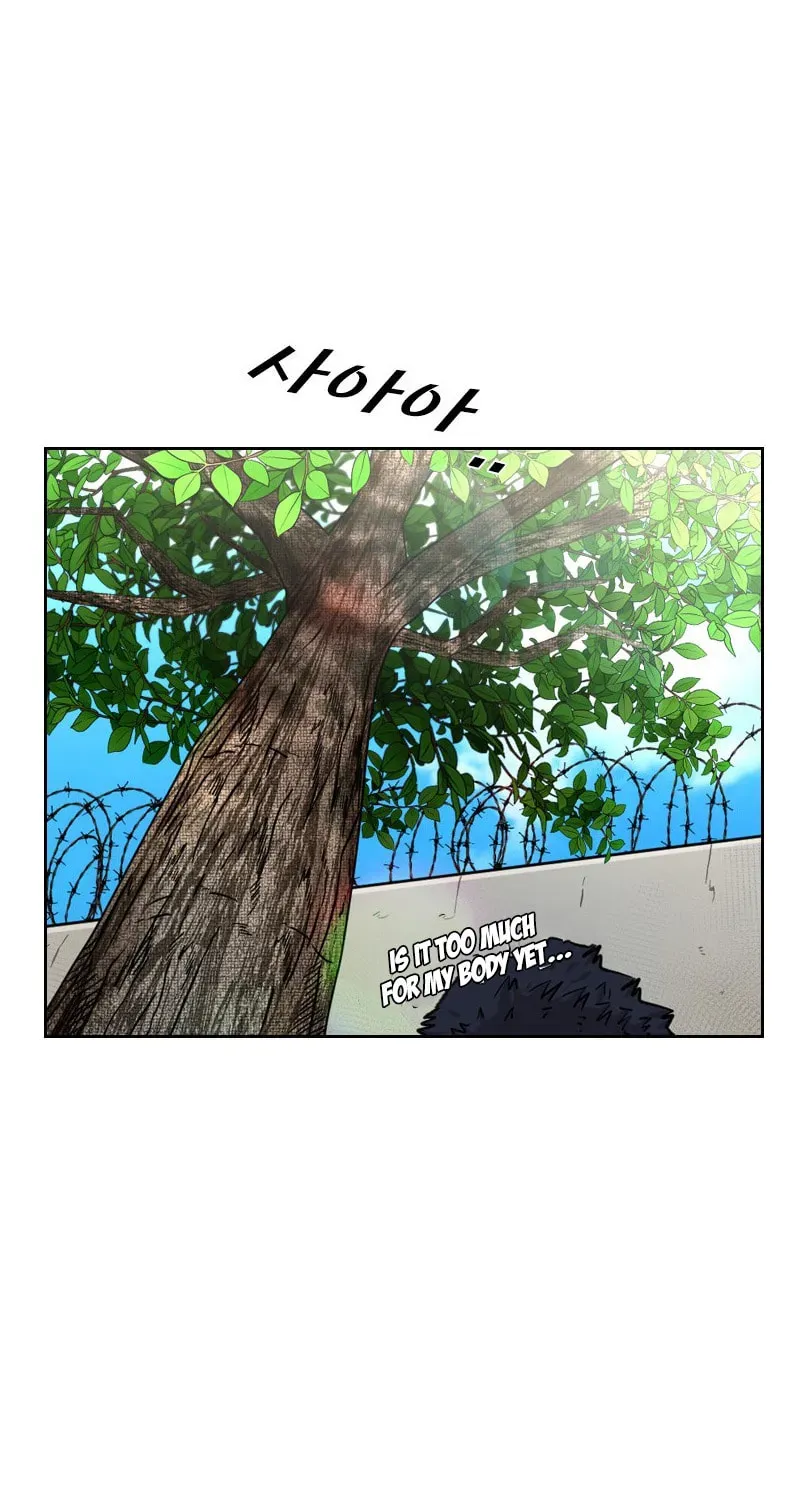 Read Shark chapter 3.2 image 67 on Lezhin