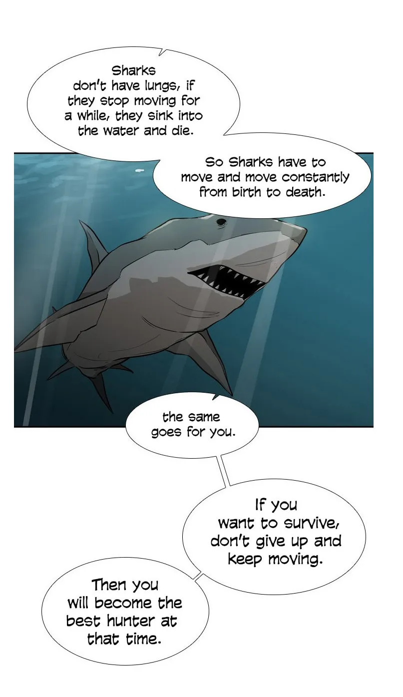 Read Shark chapter 33 image 64 on Lezhin