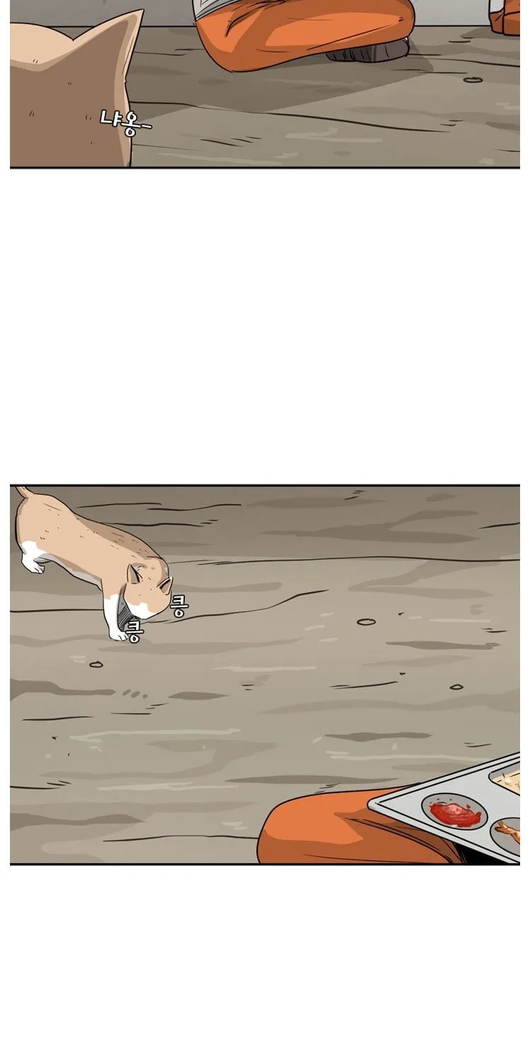 Read Shark chapter 47 image 45 on Lezhin