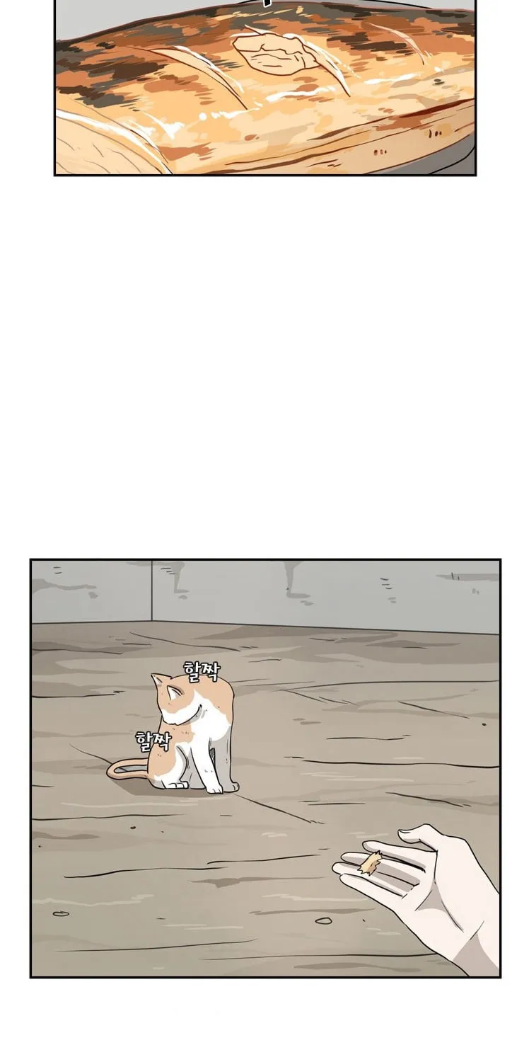 Read Shark chapter 47 image 47 on Lezhin