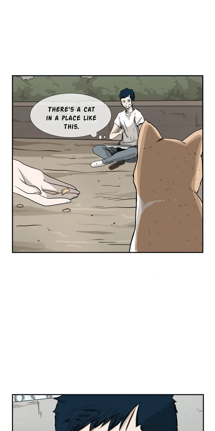 Read Shark chapter 47 image 48 on Lezhin