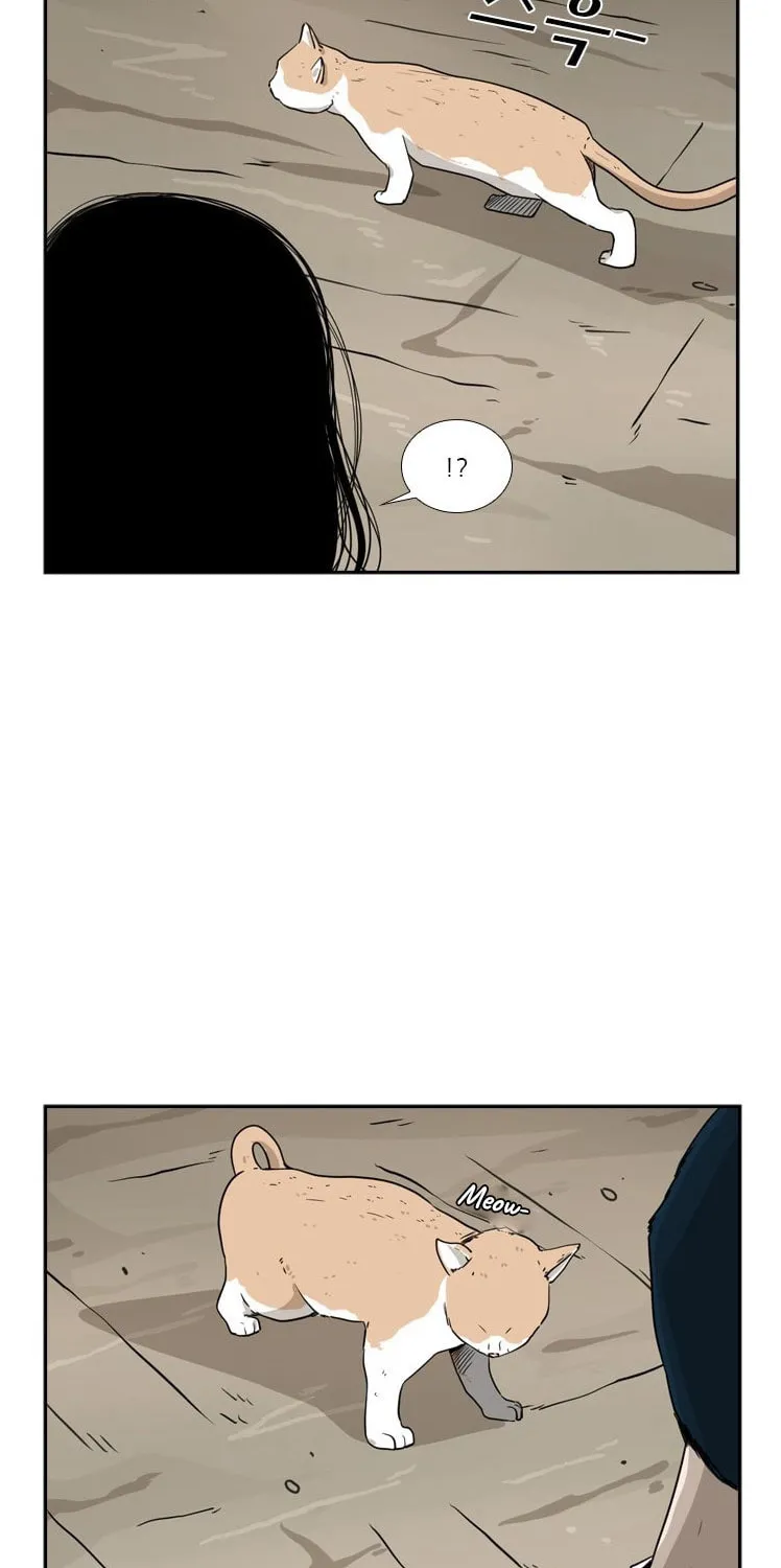 Read Shark chapter 47 image 51 on Lezhin