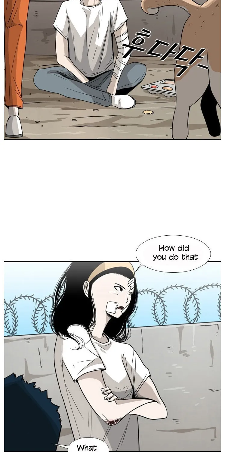 Read Shark chapter 47 image 55 on Lezhin