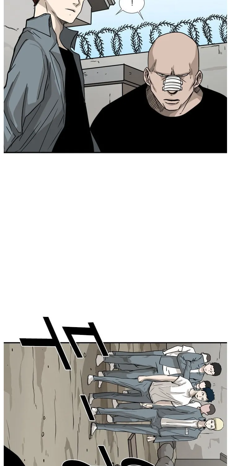 Read Shark chapter 49 image 26 on Lezhin
