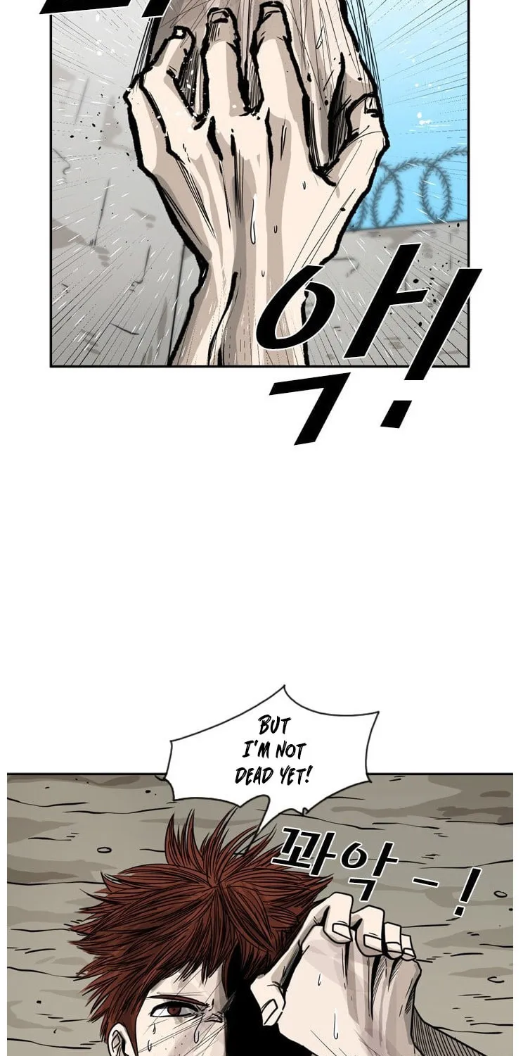 Read Shark chapter 52 image 14 on Lezhin