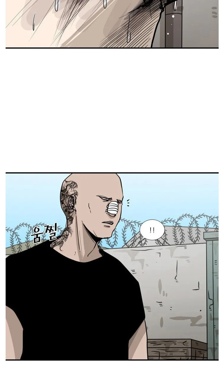 Read Shark chapter 52 image 37 on Lezhin