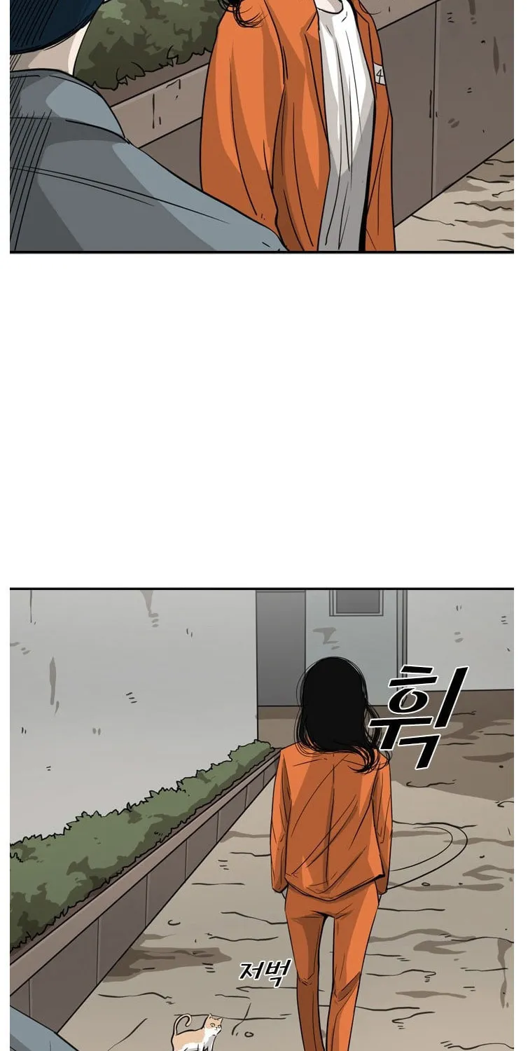 Read Shark chapter 54 image 13 on Lezhin