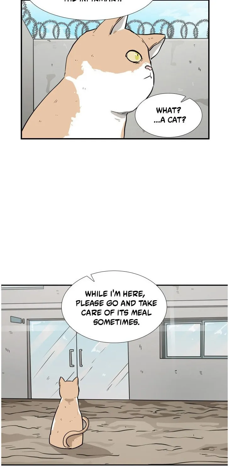 Read Shark chapter 55 image 12 on Lezhin