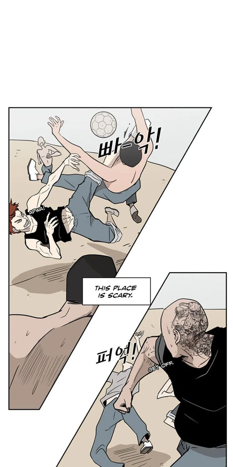 Read Shark chapter 6 image 32 on Lezhin