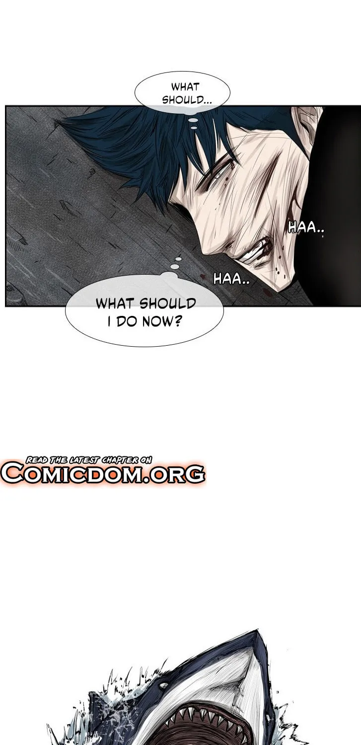 Read Shark chapter 87 image 3 on Lezhin
