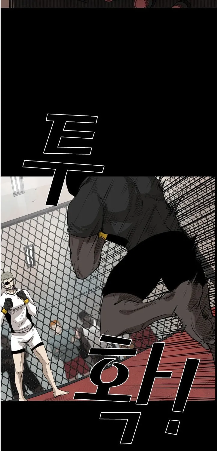 Read Shark chapter 94 image 13 on Lezhin