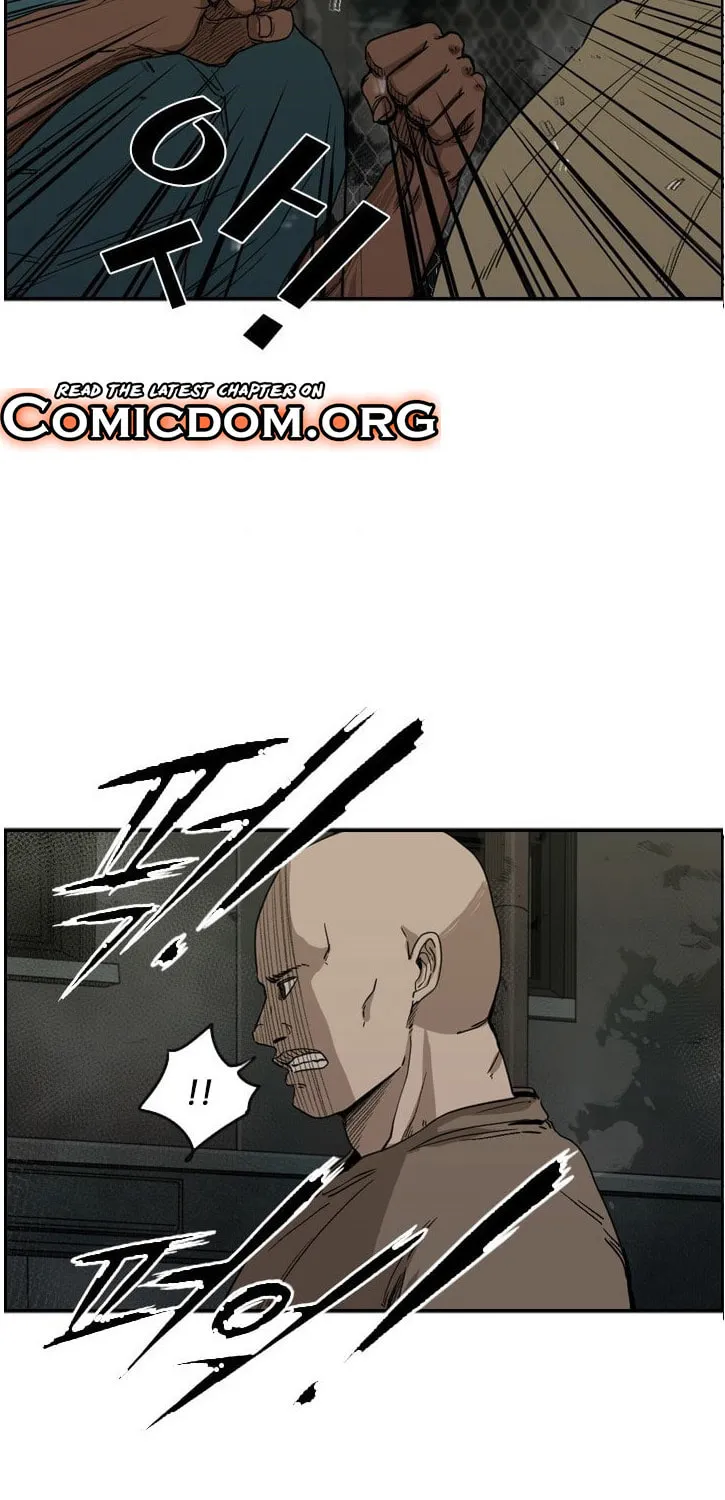 Read Shark chapter 95 image 3 on Lezhin