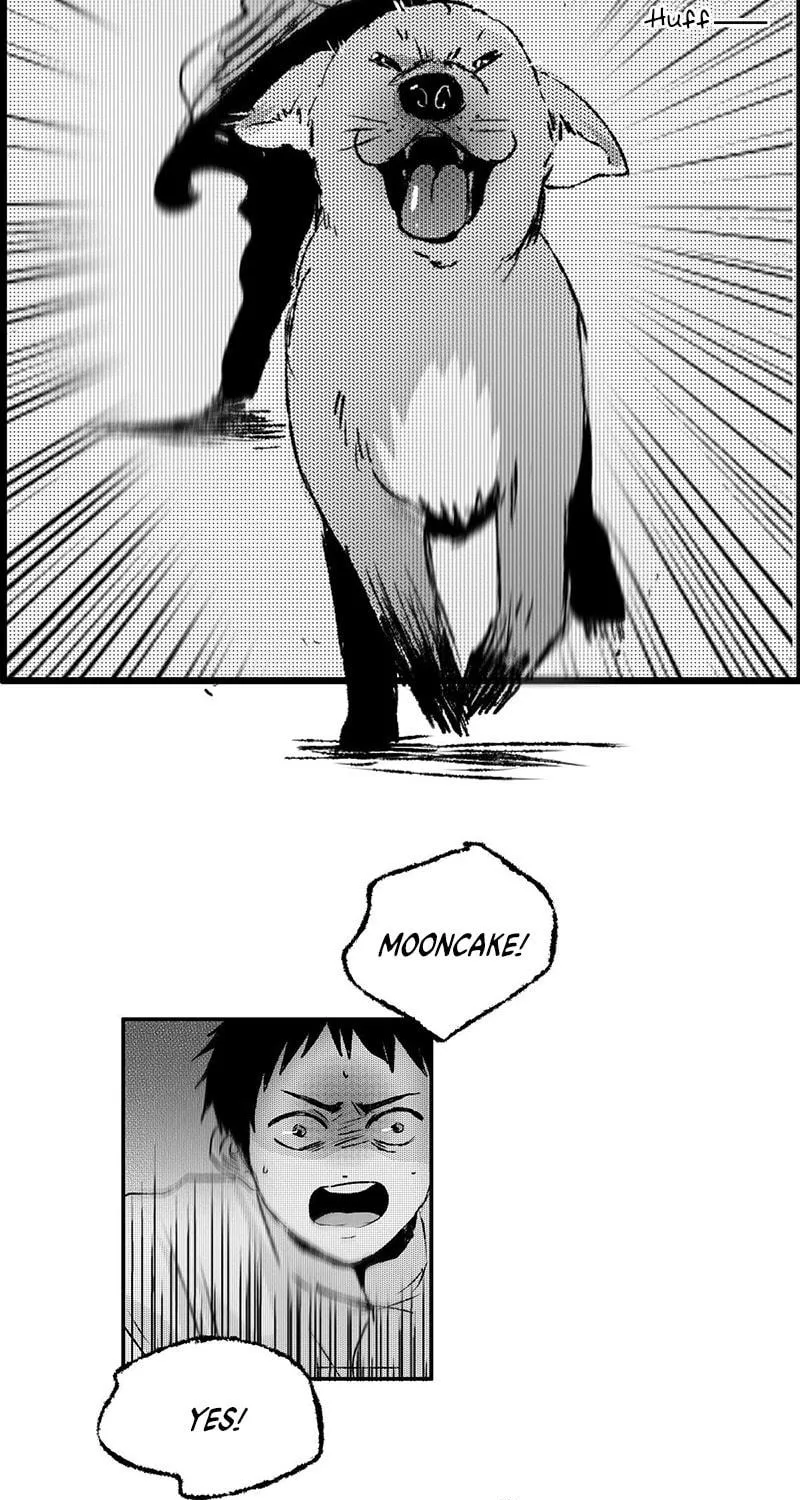 Read ShaZi chapter 118 image 38 on Lezhin