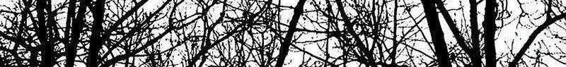 Read ShaZi chapter 57 image 20 on Lezhin