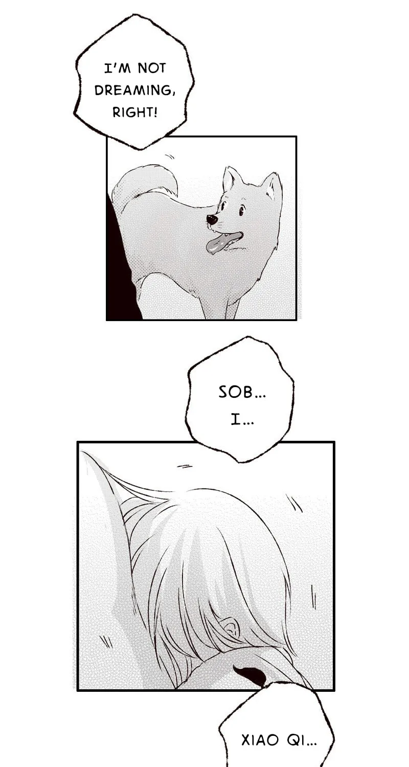 Read ShaZi chapter 7 image 2 on Lezhin