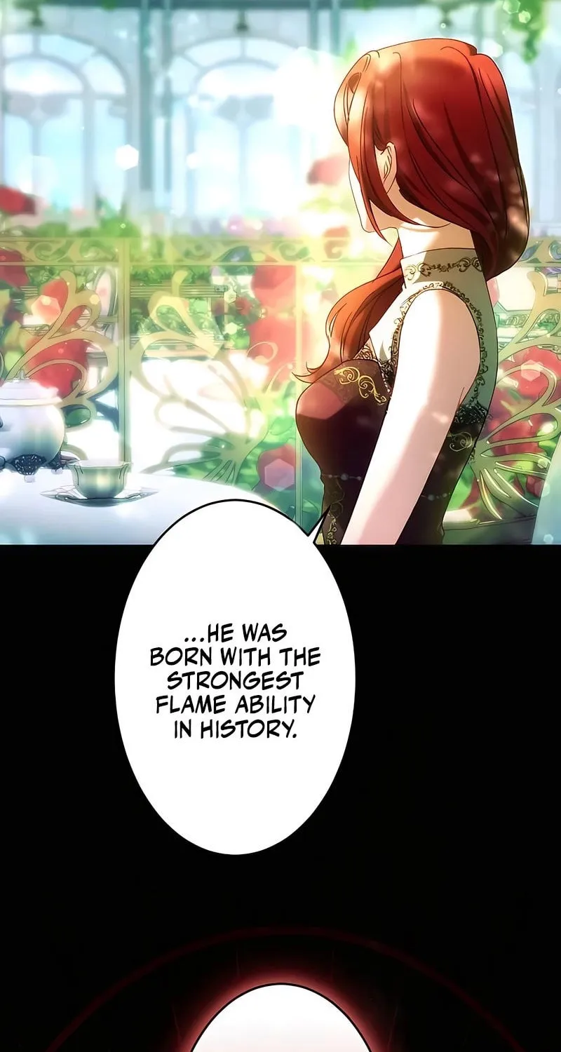 She is Obsessed with the Possessive Flame Emperor Chapter 21 page 26 - 