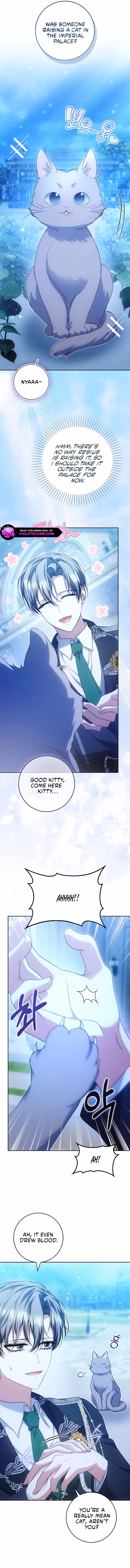 Read She