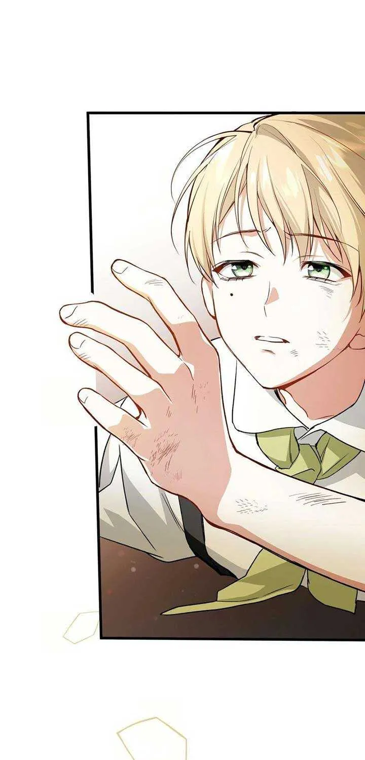 She Tames Heroes Chapter 10 page 61 - 