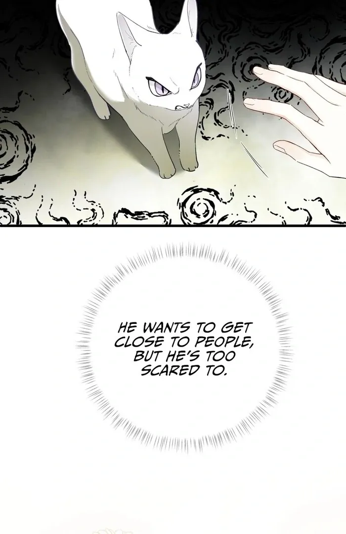 She Tames Heroes Chapter 12 page 53 - 