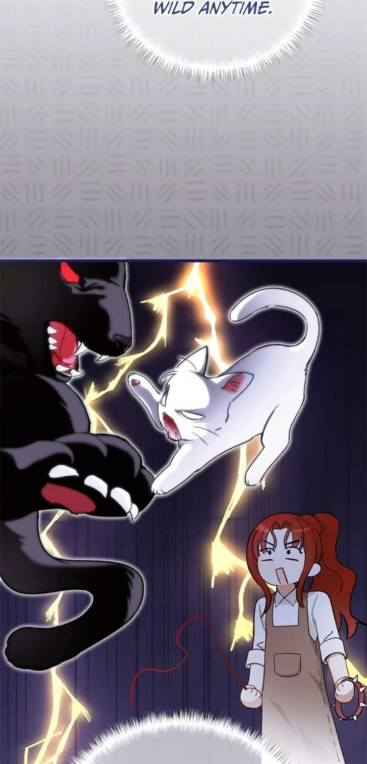 She Tames Heroes Chapter 14 page 50 - 
