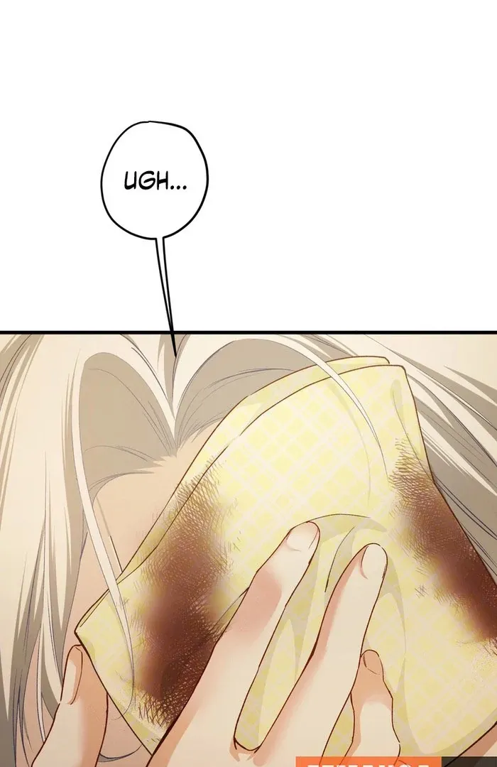 She Tames Heroes Chapter 24 page 68 - 