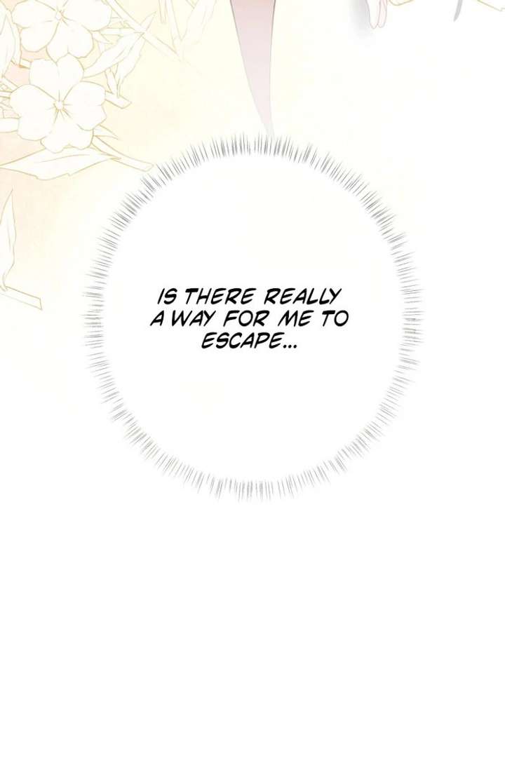 She Tames Heroes Chapter 28 page 92 - 