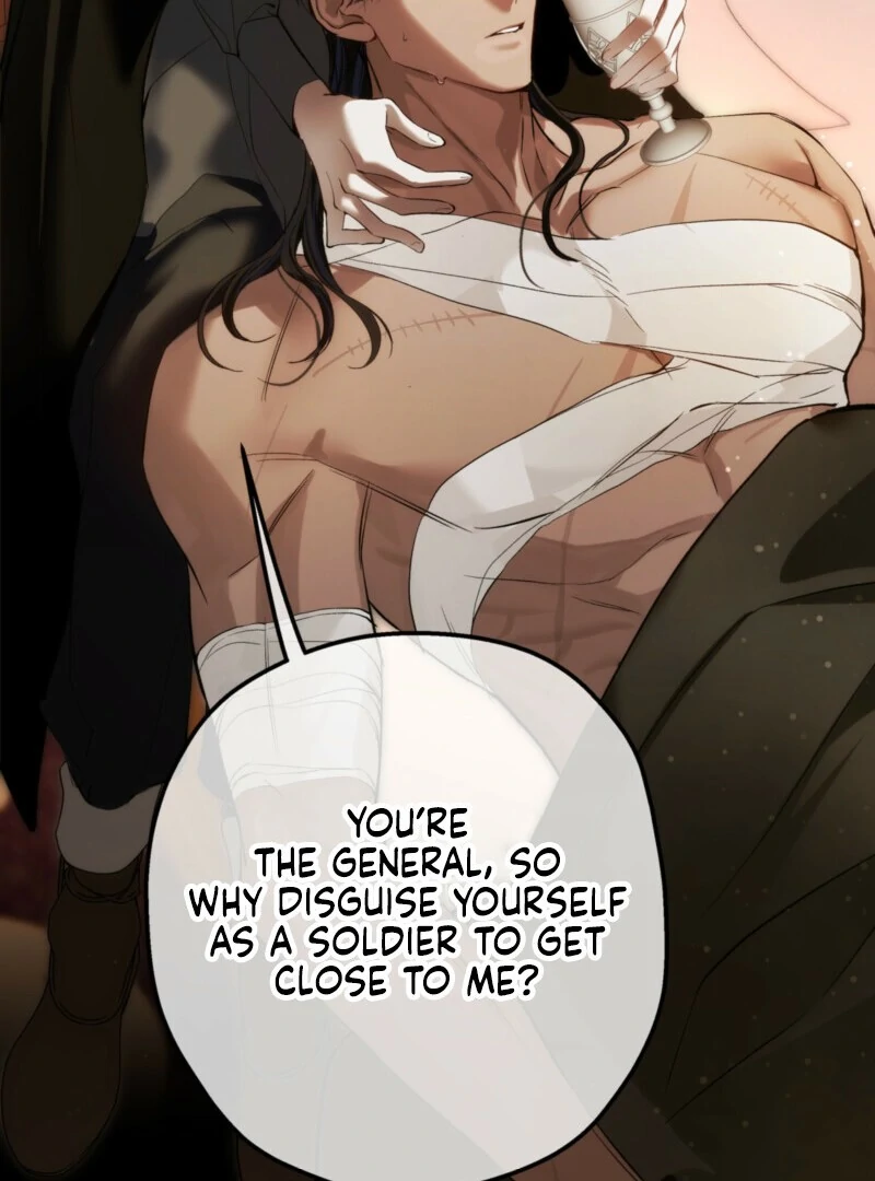 She Tames Heroes Chapter 31 page 93 - 