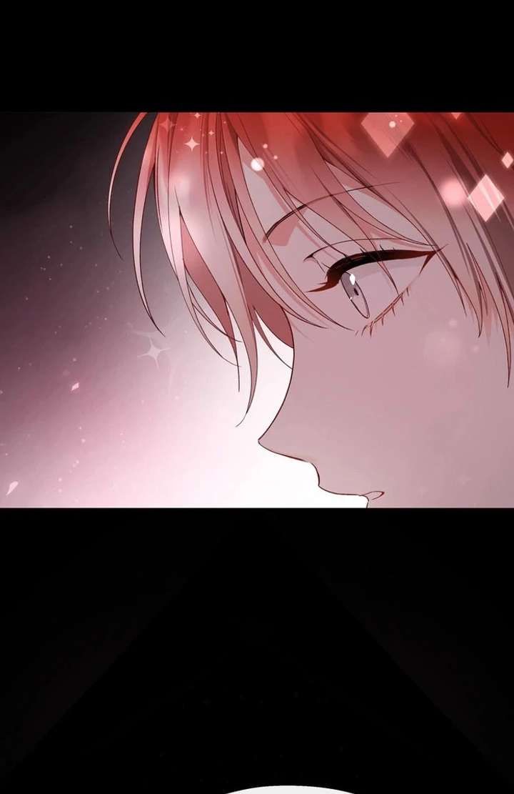 She Tames Heroes Chapter 33 page 62 - 