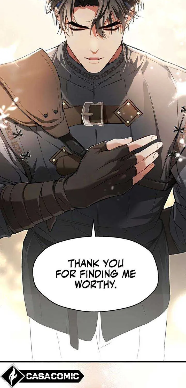 She Tames Heroes Chapter 4 page 28 - 