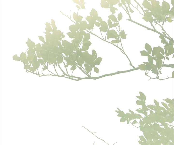 She Tames Heroes Chapter 41 page 38 - 