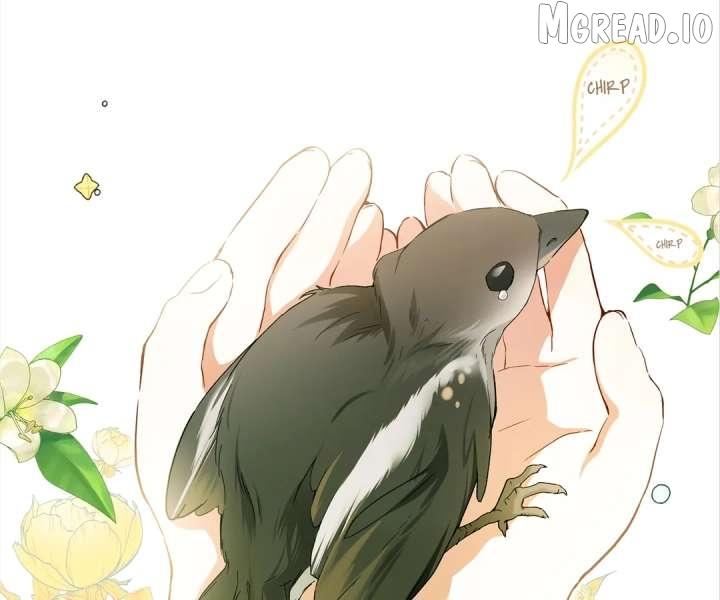 Read She Will Tame the Heroes chapter 41 image 8 on Lezhin
